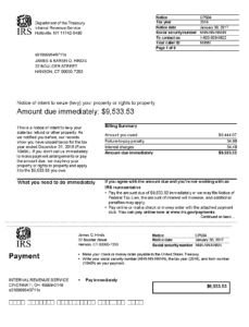 IRS Notice CP504, Intent to Levy