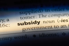 what is a subsidy - taxes or otherwise